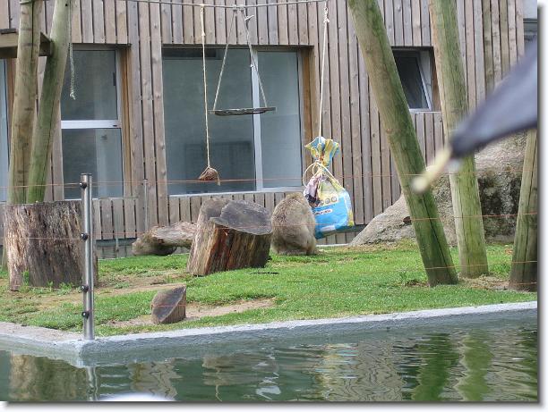 Diapositiva siguiente